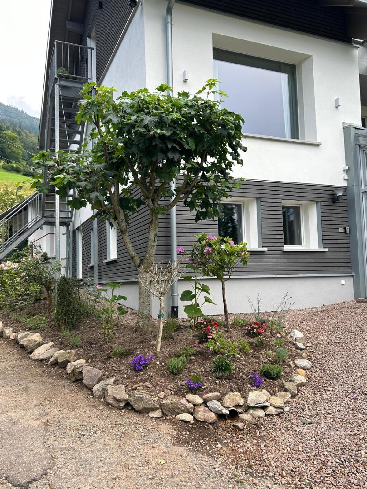 Casa Alma Apartment Neuenweg Екстериор снимка